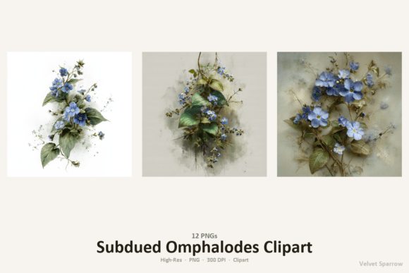 Download Subdued Omphalodes Clipart - Art Collection