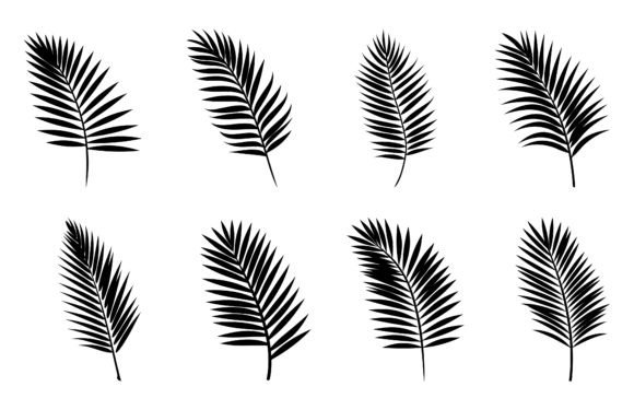 Download Beautiful Palm Tree Leaf Silhouettes Set - Silhouette Collection